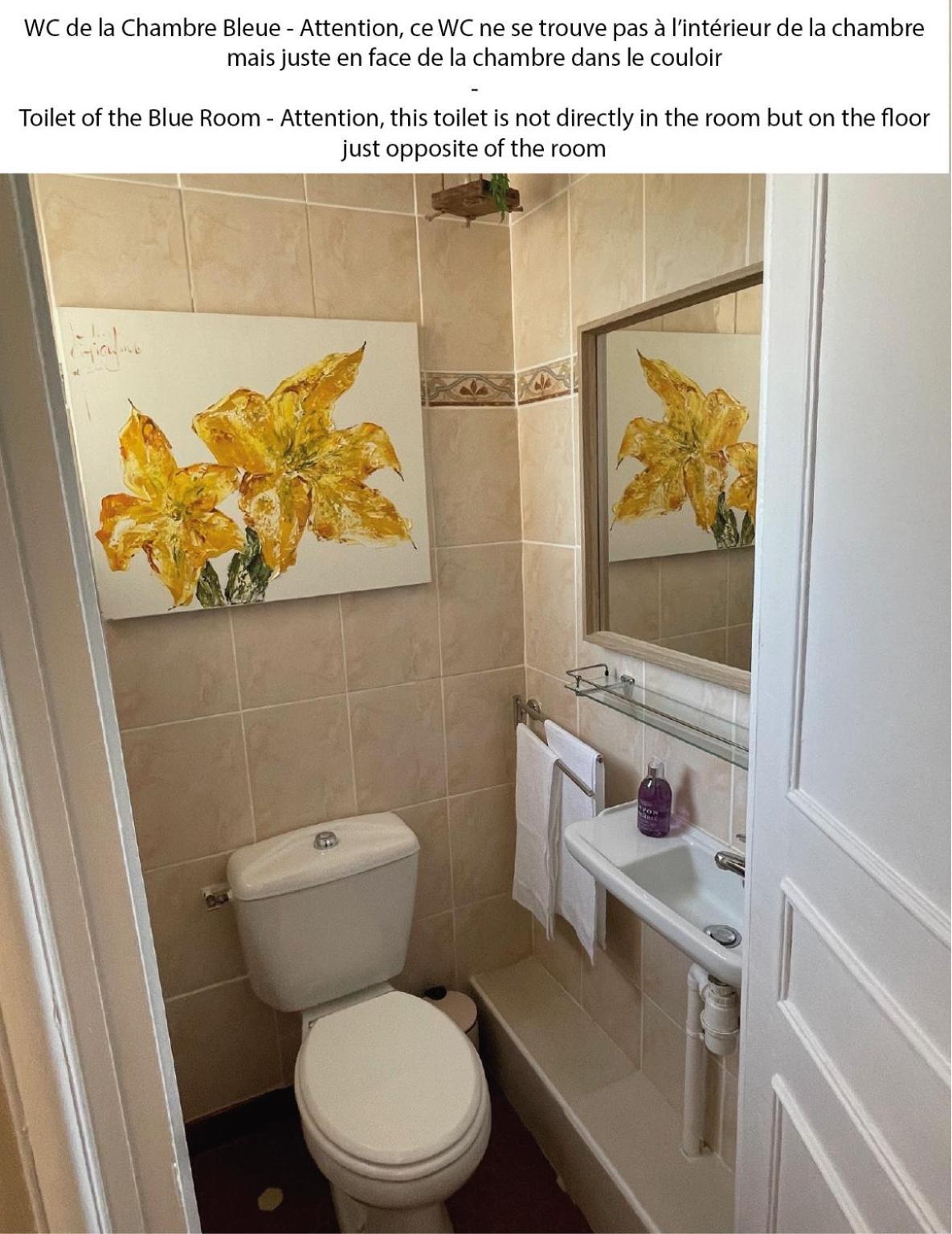La Maison Des Eaux Saint-Jean-de-Thurac Cameră foto